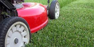 Maintaining Your New Lawn Healthy Lawn Lawn Care Fall Fertilizer