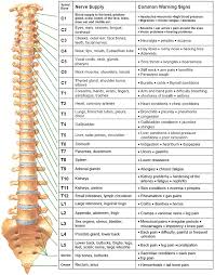 Spine Nerve Chart Symptoms Best Picture Of Chart Anyimage Org