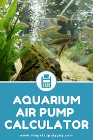 Aquarium Air Pump Calculator Aquarium Air Pump Tropical Fish Aquarium Aquarium Pump