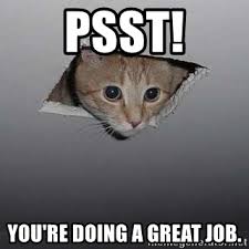 Funny job memes and work jokes. Psst You Re Doing A Great Job Ceiling Cat Meme Generator