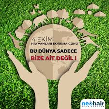 Neo Hair Adli Kullanicinin Erkek Protez Sac Panosundaki Pin Hayvanlar Agac Ekim