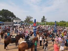 Rugen Cross Country Auf Dem Kurplatz In Gohren Ostsee Rugen Und Sommer