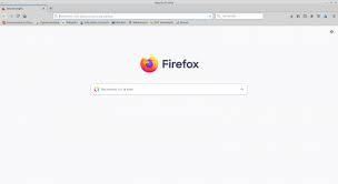 Indiquez l'adresse du site dans le champ page d'accueil. Firefox Wiki Ubuntu Fr
