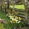 We offer the best fence installation in arlington texas. 1