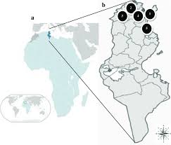 What are landforms in tunisia? A Location Of Tunisia In The African Map B Tunisian Map And Sampling Download Scientific Diagram