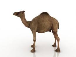 Pin On Animals Free 3d Models