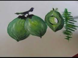 Dari video, kata kata, hingga kumpulan foto lucu. Menggambar Buah Kelapa Youtube