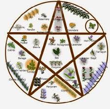 Wiccan Garden Design Witch Garden Witchy Garden Witch Herbs