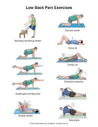 Pin On Rehabilitation Exercises