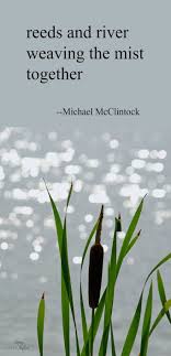 Haiku Poem Reeds And River By Michael Mcclintock Haiku Poems Haiku Poetry Haiku