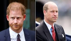 Harry and William will find it 'challenging' to repair relationship says  expert