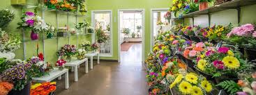 Check spelling or type a new query. Forest Of Flowers Franchise Information 2021 Cost Fees And Facts Opportunity For Sale