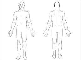 Body part clipart black and white. 9 Free Body Diagram Free Printable Download Free Premium Templates