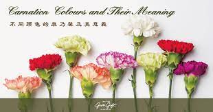 The site owner hides the web page description. ä¸åŒé¡è‰²çš„åº·ä¹ƒé¦¨åŠå…¶æ„ç¾© é¦™æ¸¯åå¸«èŠ±åº—å°šç¦®åŠ