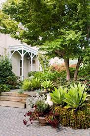 Gallery Luxurious Sub Tropical Melbourne Garden Melbourne Garden Luxury Garden Tropical Landscaping