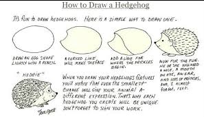 Jan Brett How To Draw A Hedgehog Hedgehog Drawing Drawings Hedgehog