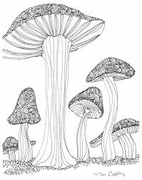 Choose the difficult picture you want to to print. Mushroom Coloring Pages For Adults