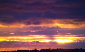 Major Characteristics Of Dickinson S Poetry Emily Dickinson Museum Emily Dickinson Dickinson Poetry Tea Time