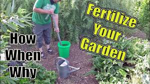 Natural start all purpose plant food by greenview. How To Fertilize Your Garden The Correct Way How When Why Youtube