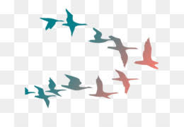 Png gambar pixabay unduh gambar gambar gratis unduh gambar gambar gratis yang menakjubkan tentang png untuk digunakan gratis. Burung Camar Siluet Gambar Png
