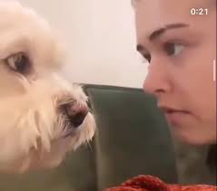 Josie Saltzman and Kaylee Bryant Edits Compilation