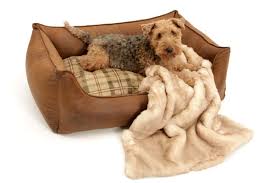 Quality betta fish in usa. Ersatzbezug Box Bett Chester Leaf American Vintage Dogs In The City