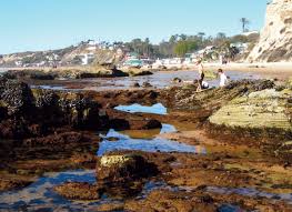 70 Accurate Crystal Cove Tide Pool Chart