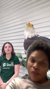 Girl Bald Eagles