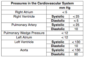 Normal Pressures Cardiovascular Medbullets Step 1