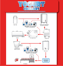 yogurt process