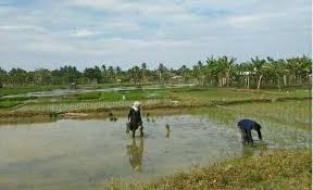 Bukan begitu saja rezeki akan datang dan turun dari langit. Mencari Rezeki Yang Halal Steemit