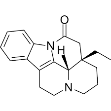 Image result for Hunteria zeylanica