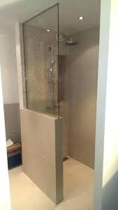 Dekorideen Badezimmer Ideen Begehbare Dusche Dekordeu Badfliesenideen Badezimmer Begehbare Dekordeu Shower Remodel Bathrooms Remodel Bathroom Design