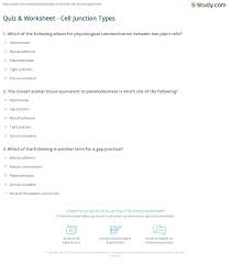 3 types of animal cell junctions. Quiz Worksheet Cell Junction Types Study Com