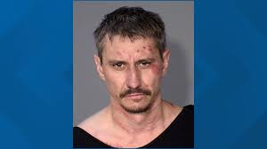 Man charged with murder of missing woman Manijeh "Mani" Starren