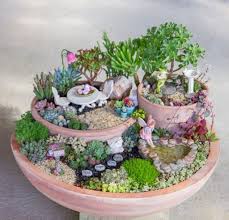 This piece was left out too long and it already started growing roots. Looking For A Project How About A Fairy Garden Unusualseeds