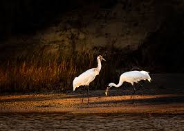 Image result for site:byggahus.se grus till infiltration