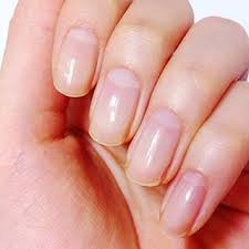 ハンドモデル longnailbed longnailbeds nailbed nailbeds ネイルベッド 素爪 甲床 natural nails nails summer acrylic nails