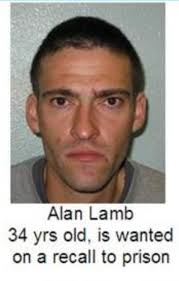 Arthur Pewty's maggot sandwich: 2017-03-19