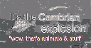 I Ve Recreated Bill Wurtz S History Of The Entire World I Guess With Blocks Instead Of Pixels History World Entire World