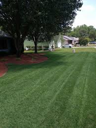 You can put down this fertilizer anytime. Lawn Care Guy With A Bad Lawn No Way Southern Lawn Man