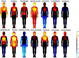 Hangi Duyguyu Neremizle Duygular Insan Vucudu Biyokimya