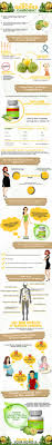 Garcinia Cambogia Health Benefits Infographic Food Infographic Garcinia Cambogia Benefits Cambogia