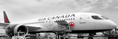 If you know any contact information for delta cargo logistics, help other victims by adding it! Air Canada Cargo Ship Small Parcels Packages Or Large Cargo