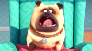 Résultat de recherche d'images pour "comme des betes"