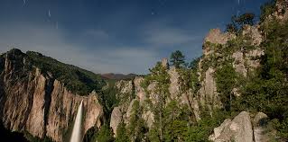 Image result for creel