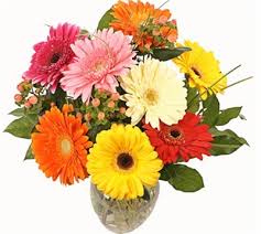 We did not find results for: The Forest Of Flowers Brantford On