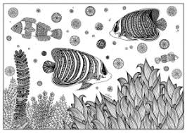 Inspired by nature or completely surreal, these drawings differ from mandalas because they are not concentrated on a single point. Zentangle Free Printable Coloring Pages For Kids