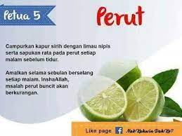 Jeruk Perut Obat Alami Kesehatan Kesehatan Alternatif