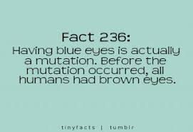 We did not find results for: 17 Funny But True Facts Gallery